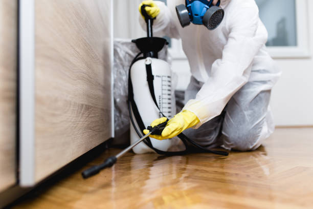 Best Pest Inspection Near Me  in Fairmount, TN