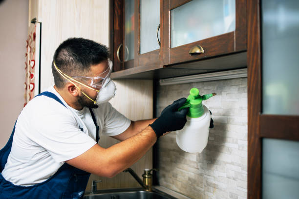 Best Cockroach Control Services  in Fairmount, TN