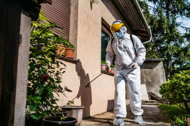 Best Affordable Pest Control Services  in Fairmount, TN