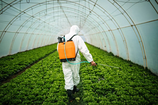 Best Affordable Exterminators  in Fairmount, TN