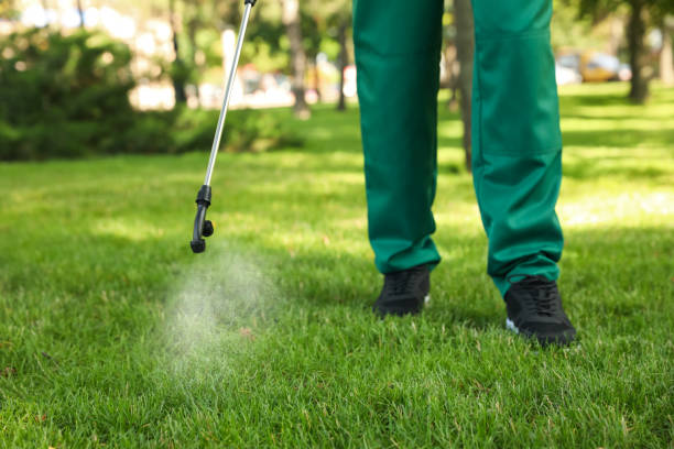 Best Pest Prevention Services  in Fairmount, TN