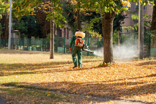 Best Pest Control Near Me in Fairmount, TN