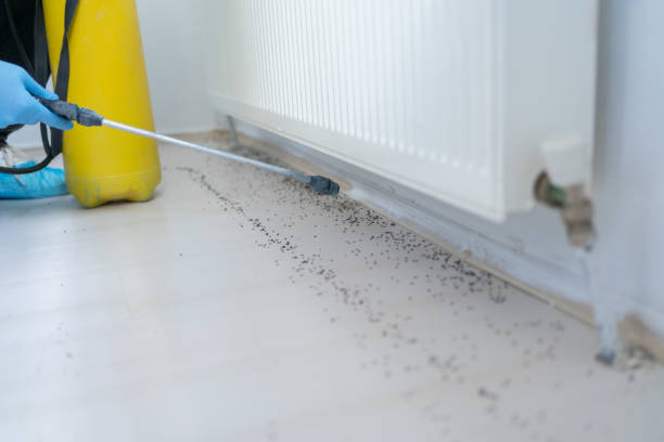 Best Best Pest Control Companies  in Fairmount, TN