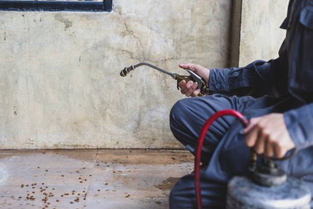 Best Emergency Pest Control  in Fairmount, TN