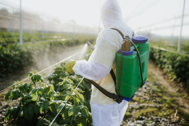 Wildlife Control Services in Fairmount, TN